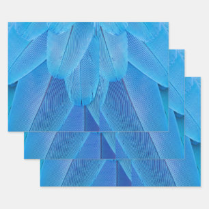 Aquamarine blaue Federn des Macaw Parrot Geschenkpapier Set