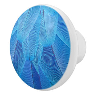Aquamarine blaue Federn des Macaw Parrot Keramikknauf
