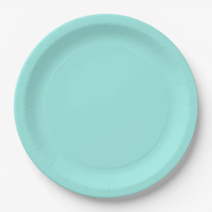 Aquamarine Brautparty-Papierplatte Pappteller