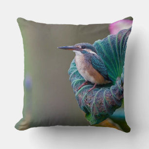 Aquamarine Feather Wildlife Bird Fotografie Kissen