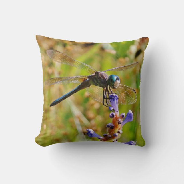 Aquamarine Rainbow-Dragonfly/Lavendel-Blume Kissen (Vorderseite)