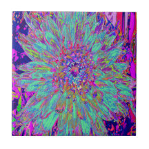 Aquamarine Regenbogen Farbe Abstrakt Dahlia Blume