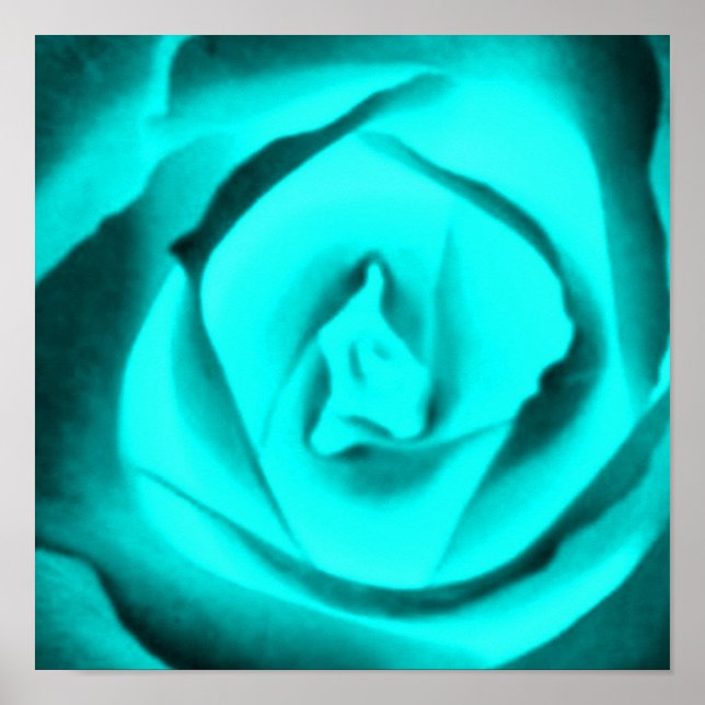 Aquamarine Rose Poster (Vorne)
