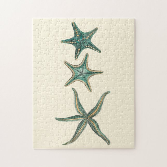 Aquamarine Triple Starfish (Vertikal)