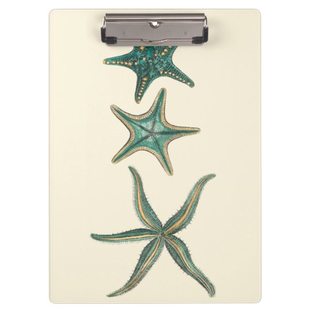 Aquamarine Triple Starfish Klemmbrett (Vorderseite)