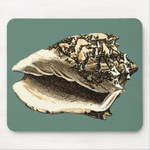 Aquamarine Tritonshorn-Muschel Mousepad