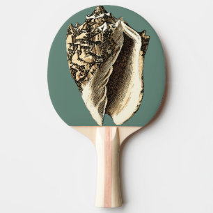 Aquamarine Tritonshorn-Muschel Tischtennis Schläger