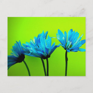 Aquamarine türkisfarbene Speisen auf Limettengrün  Postkarte