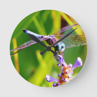 Aquamarine u. lila Libelle Runde Wanduhr