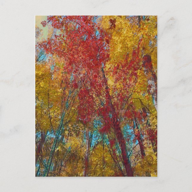 Aquamarine und Goldbäume Postkarte (Vorderseite)