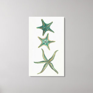 Aquamarinedreifache Starfish Leinwanddruck