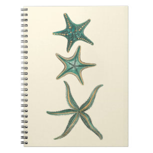 Aquamarinedreifache Starfish Notizblock
