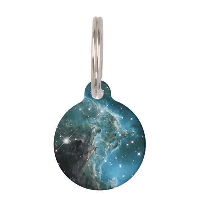 Aquamariner blauer Affenkopfnebel Tiernamensmarke (Vorderseite)