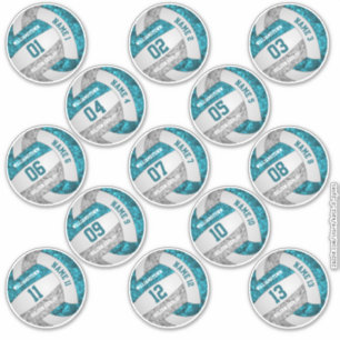 aquamariner grauer Volleyballspieler nennt Set von Aufkleber