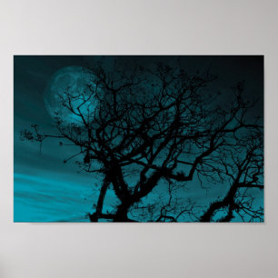 Aquamariner Himmel und bloße Niederlassungen Poster