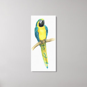 Aquamariner Macaw Leinwanddruck