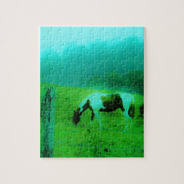 Aquamariner Nebel Reto gefärbte Pony Horse (Vertikal)