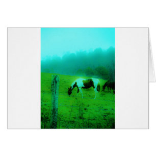Aquamariner Nebel Reto gefärbte Pony Horse