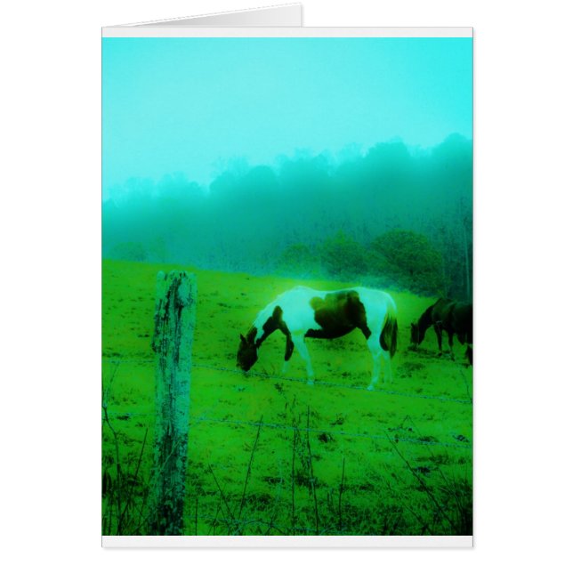 Aquamariner Nebel Reto gefärbte Pony Horse (Vorne)