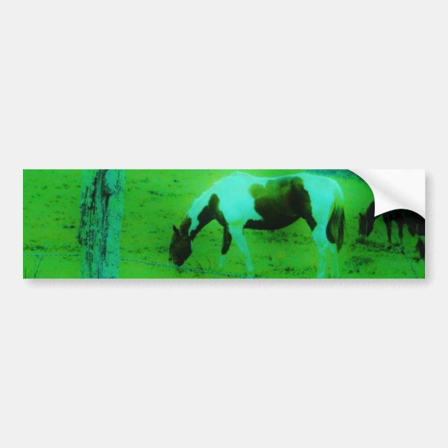 Aquamariner Nebel Reto gefärbte Pony Horse Autoaufkleber (Vorne)