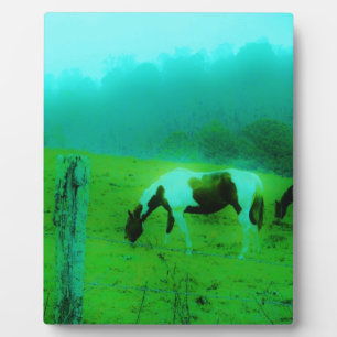 Aquamariner Nebel Reto gefärbte Pony Horse Fotoplatte