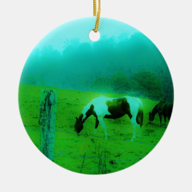 Aquamariner Nebel Reto gefärbte Pony Horse Keramikornament (Vorne)