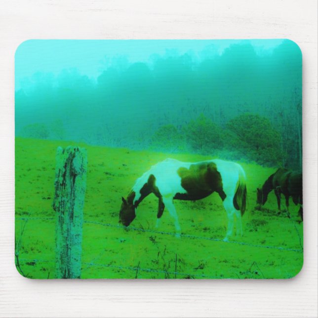 Aquamariner Nebel Reto gefärbte Pony Horse Mousepad (Vorne)