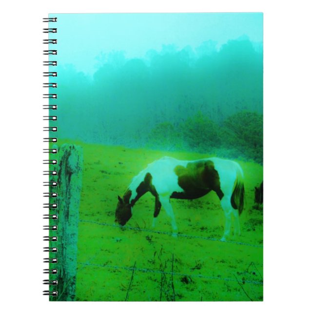 Aquamariner Nebel Reto gefärbte Pony Horse Notizblock (Vorderseite)