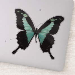 Aquamariner Schmetterling Aufkleber