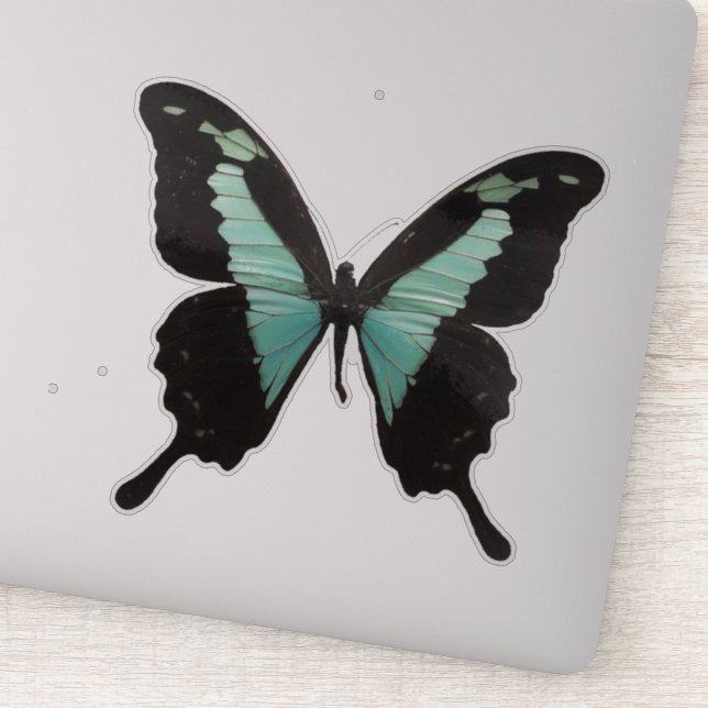 Aquamariner Schmetterling Aufkleber (Detail)