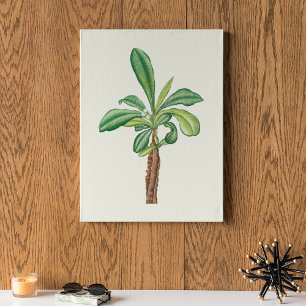 Aquarell Antikes Botanisches Kaktus Druckposter Poster