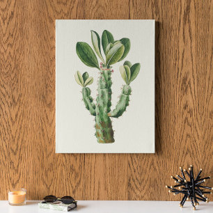 Aquarell Antikes Botanisches Kaktus Druckposter Poster