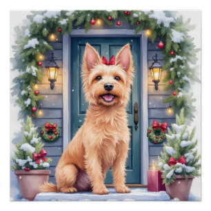 Aquarell Australian Silky Terrier Schneeige Türstu Poster