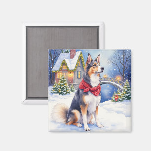 Aquarell Belgischer Schäferhund Winter Weihnachten Magnet
