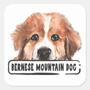 Aquarell Berner Sennenhund Quadratischer Aufkleber