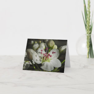 Aquarell-Birnen-Blüten-Anmerkungs-Karte Karte