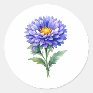 Aquarell blühende violette Aster-Blume Runder Aufkleber