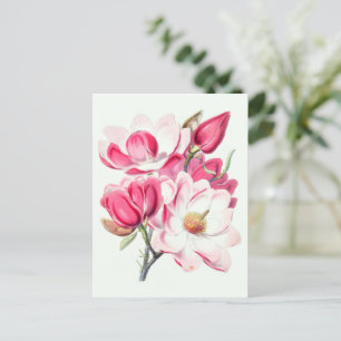 Aquarell Botanische Rosa Magnolienblüten Postkarte