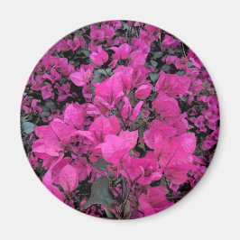 Aquarell-Bougainvillea Magnet