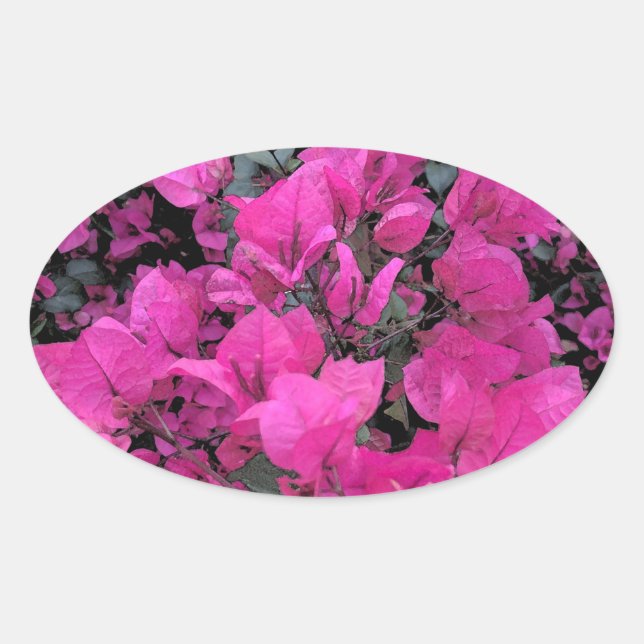 Aquarell-Bougainvillea Ovaler Aufkleber (Vorderseite)