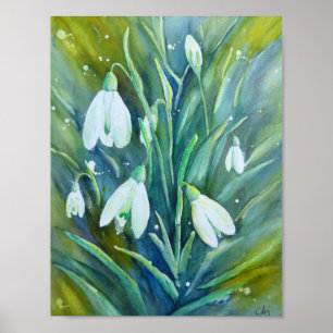 Aquarell, das Snowdrops malt Poster