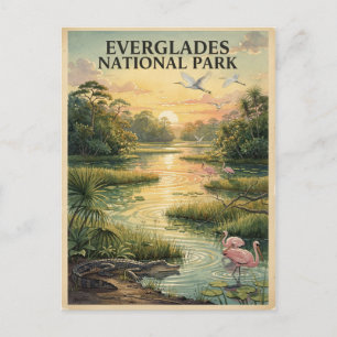 Aquarell der Tierwelt des Everglades Nationalparks Postkarte