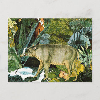 Aquarell eines Babirusa-Wildschweins Postkarte