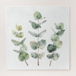 Aquarell-Eukalyptusblätter Botanik
