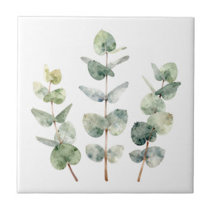 Aquarell Eukalyptusblätter Botanik Fliese