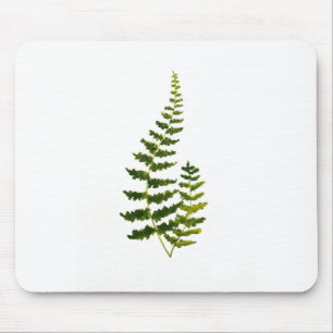 Aquarell Fern Botanische Vegetation Rustikale Eleg Mousepad