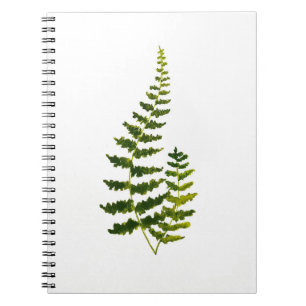 Aquarell Fern Botanische Vegetation Rustikale Eleg Notizblock