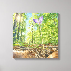 Aquarell-Frühlingswald und Krokusblumen-Leinwand Leinwanddruck