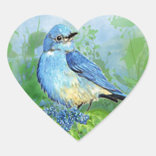 Aquarell-Gebirgsdrossel-blaue Vogel-Kunst für Herz-Aufkleber