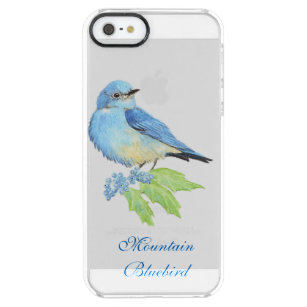 Aquarell-Gebirgsdrossel-blaue Vogel-Kunst für Durchsichtige iPhone SE/5/5s Hülle